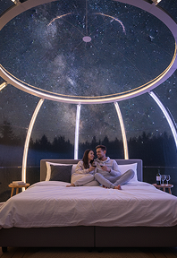 dome see doo pcd series polycarbonate domes